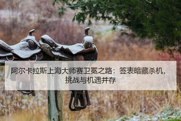 a-er-ka-la-si-shang-hai-da-shi-sai-wei-mian-zhi-lu-qian-biao-an-cang-sha-ji-tiao-zhan-yu-ji-yu-bing-cun-2-233.jpg