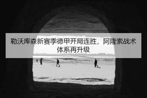 勒沃库森新赛季德甲开局连胜，阿隆索战术体系再升级